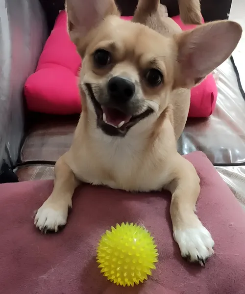 محیط داخلی پانسیون مریم