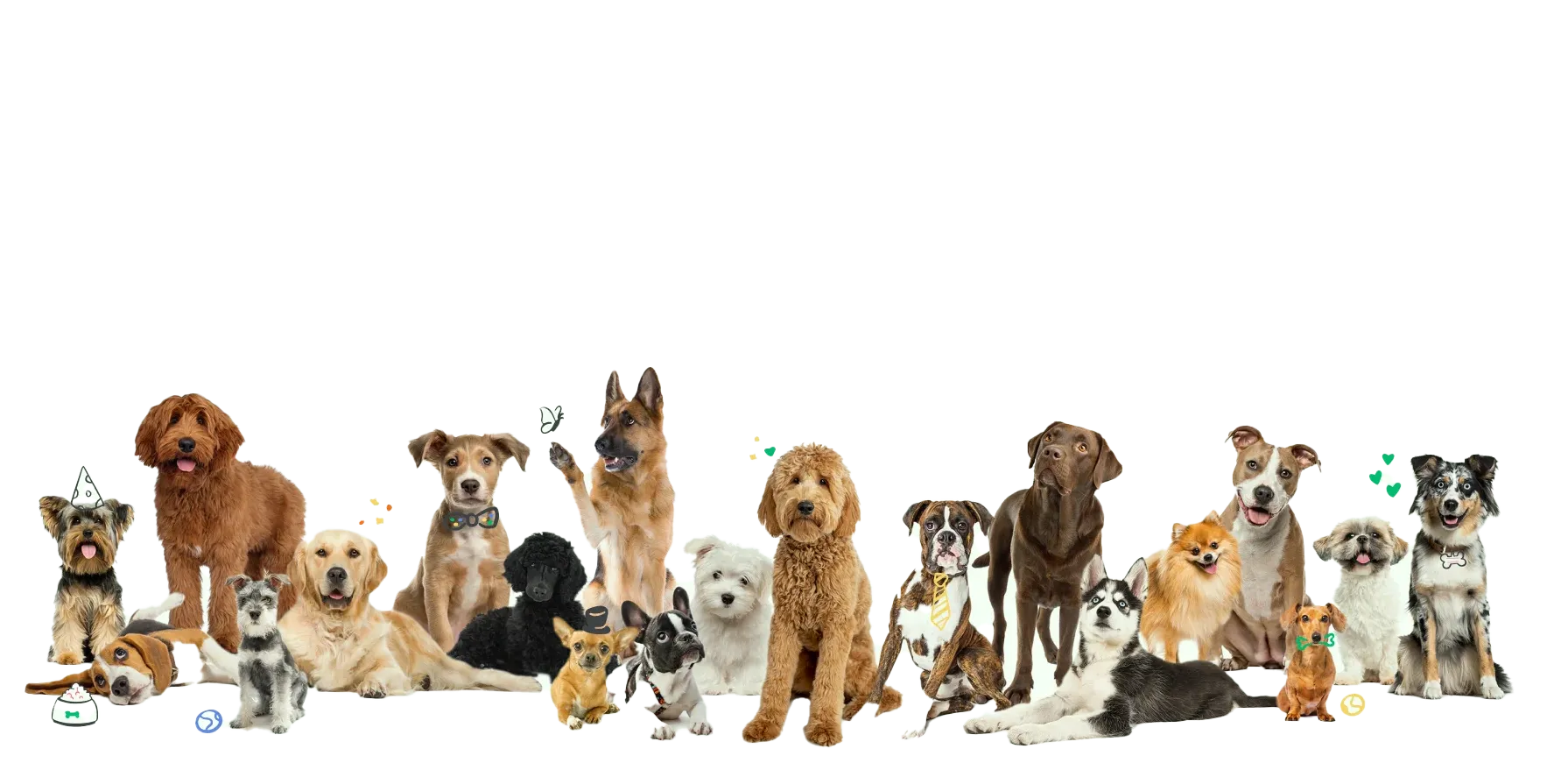 سگ‌های خوشحال در پانسیون مریم